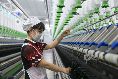 江西瑞昌 数字工厂助力产销两旺，针织品及原料批发蓬勃发展